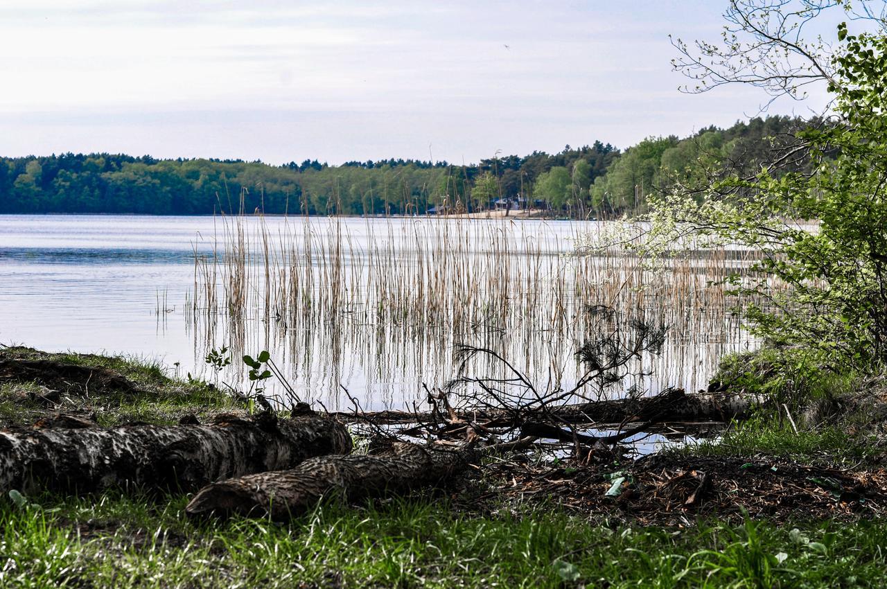 Zajazd Dabie Dabie  Exteriör bild